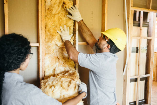 Best Wall Insulation Installation  in Delta Junction, AK